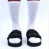 Premium Tech Slides